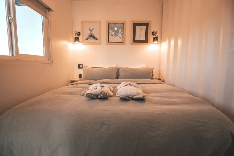 A Hidden Gem: Exploring the Allure of Boutique Hotels in Vibrant New York City