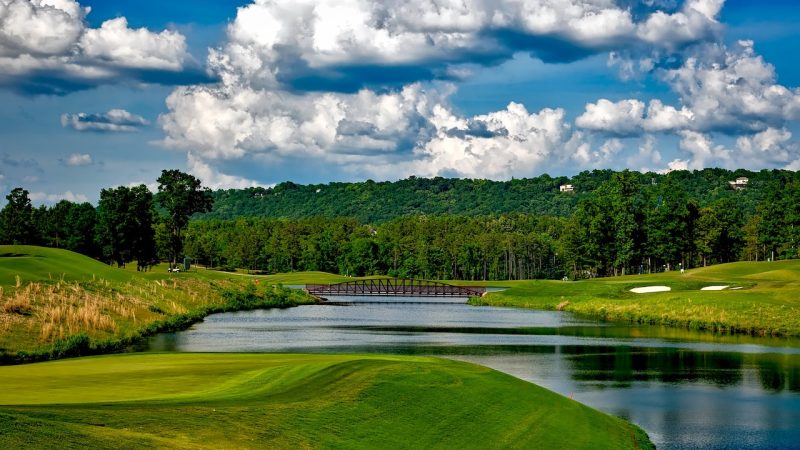Elevate Your Golfing Experience: The Allure of Royal Oak’s Golf Course